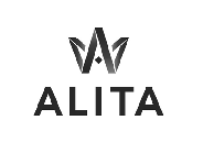 GO-ERP client Alita